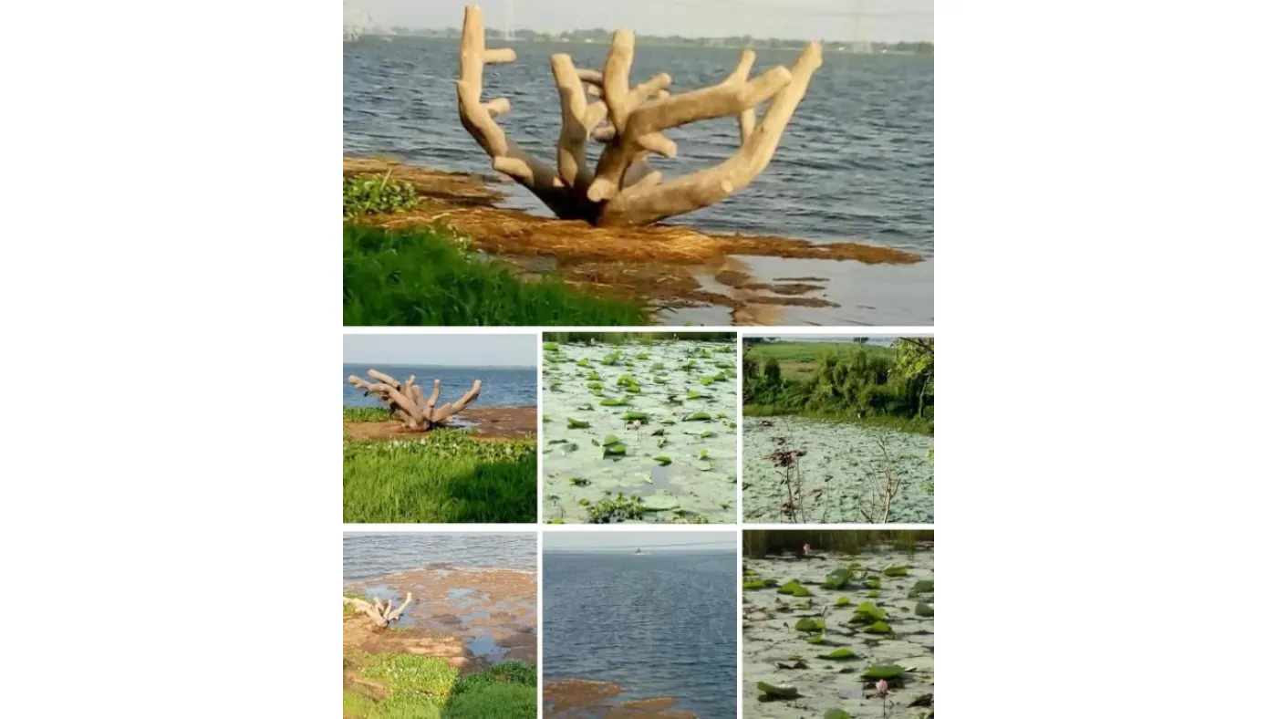 सुरहा ताल