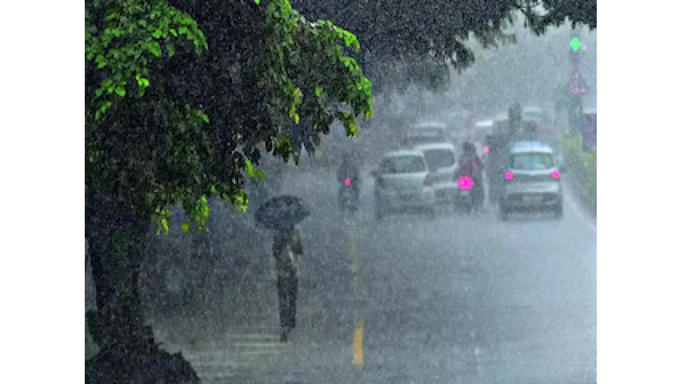 BARISH-1-2024-05-a710b5c8f84a21befb2cf9553a9185fb